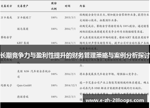 长期竞争力与盈利性提升的财务管理策略与案例分析探讨