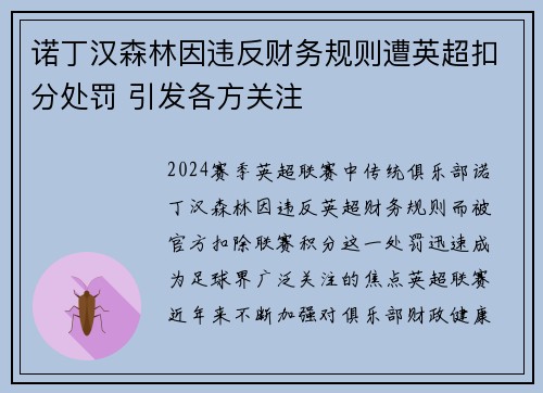 诺丁汉森林因违反财务规则遭英超扣分处罚 引发各方关注