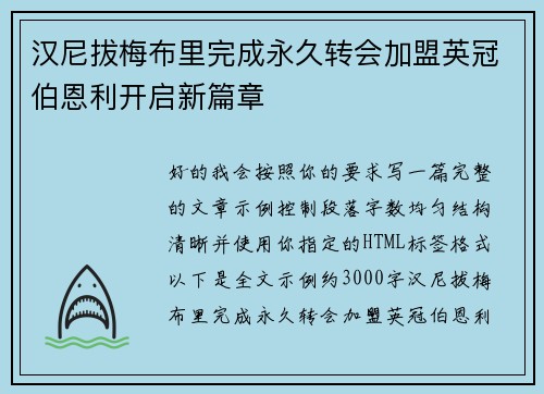汉尼拔梅布里完成永久转会加盟英冠伯恩利开启新篇章